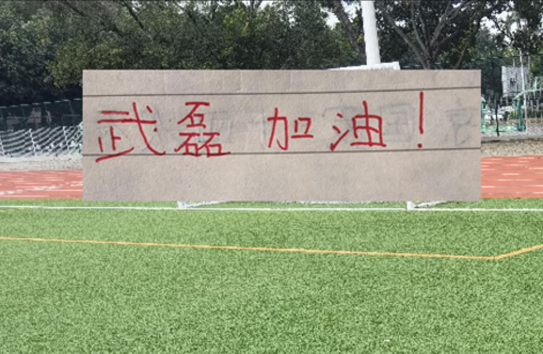 乐竞体育2026世界杯法国将战塞内加尔